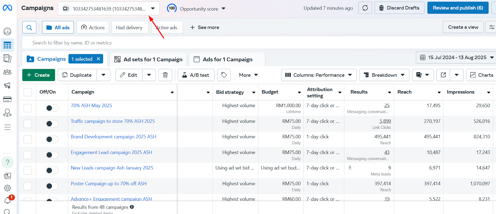 Meta ads campaign Service